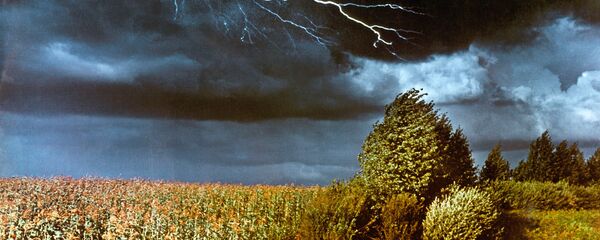 GROZA VISTAVKA - Sputnik O‘zbekiston