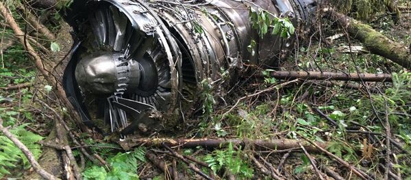 Крушение истребителя Су-27 в Подмосковье - Sputnik Узбекистан