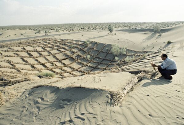 Мелиоратор закрепляет пески в пустыне Каракумы. 1990 год. - Sputnik Узбекистан