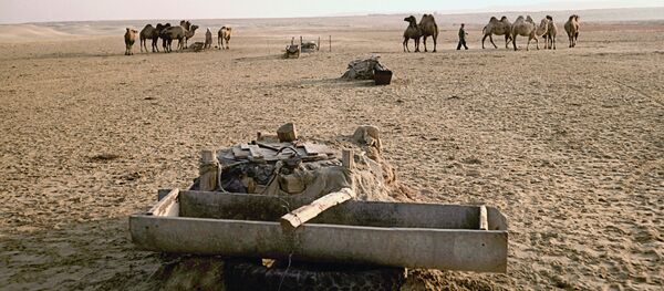 В результате экологической катастрофы в Приаралье вода в колодцах стала непригодна для человека. Её пьют только животные. 1989 год. - Sputnik Узбекистан