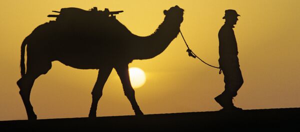 Участник экспедиции в Каракумах Участник экспедиции в Каракумах - Sputnik Ўзбекистон