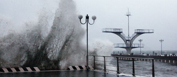 Тайфун, архивное фото Тайфун, архивное фото - Sputnik Узбекистан