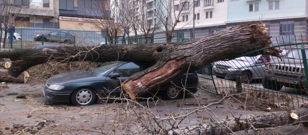 Довулли об-ҳаво Довулли об-ҳаво - Sputnik Ўзбекистон