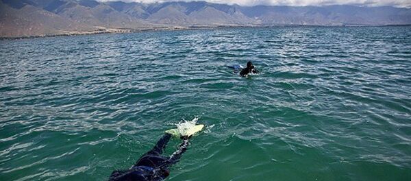 Работы на южном берегу Иссык-Куля - Sputnik Узбекистан