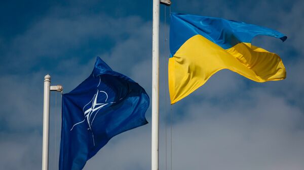 Natsionalniy flag Ukraini i flag Organizatsii Severoatlanticheskogo dogovora (NATO) - Sputnik O‘zbekiston