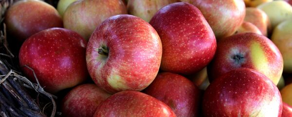 Yabloki na selskoxozaystvennoy yarmarke - Sputnik O‘zbekiston