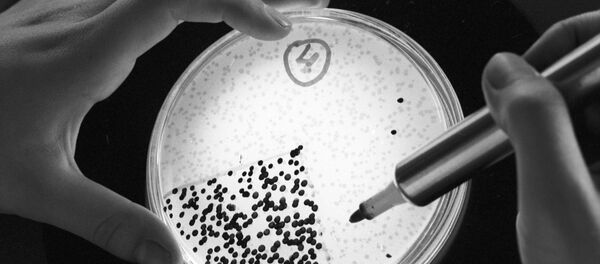 Бактериялар таҳлили - Sputnik Ўзбекистон