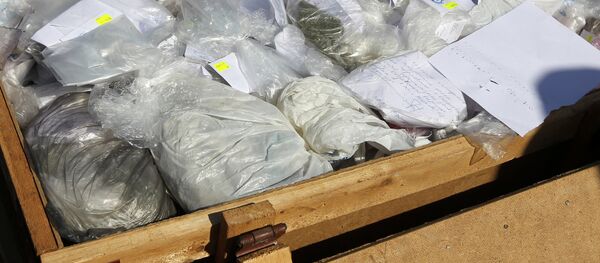 Наркотик моддаларни йўқ қилиш - Sputnik Ўзбекистон