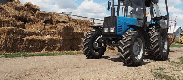 Заготовка сена в фермерском хозяйстве Заготовка сена в фермерском хозяйстве - Sputnik Ўзбекистон