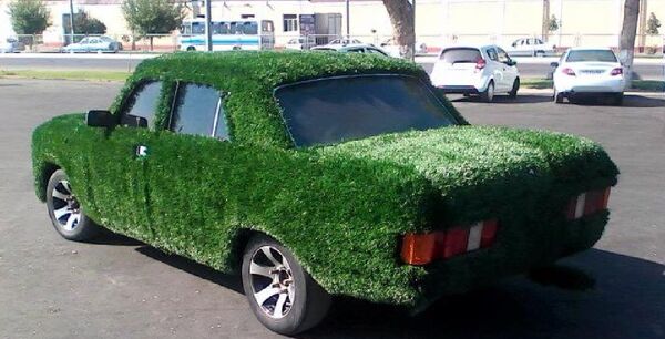 Машина, покрытая газоном, разъезжает по Самарканду Машина, покрытая газоном, разъезжает по Самарканду - Sputnik Узбекистан