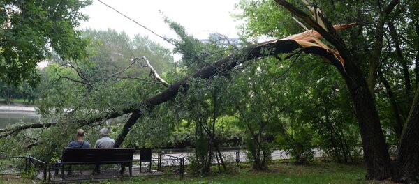 Последствия урагана в Москве Последствия урагана в Москве - Sputnik Узбекистан