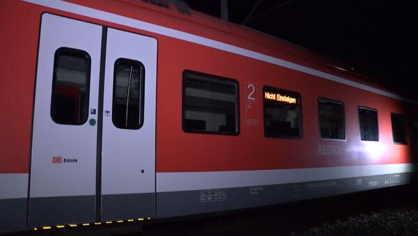 Мужчина с топором напал на пассажиров поезда в Германии - Sputnik Узбекистан