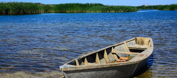 Аральское море - Sputnik Узбекистан