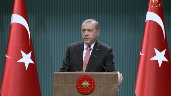 Эрдоган объяснил, для чего в стране вводится чрезвычайное положение - Sputnik Узбекистан