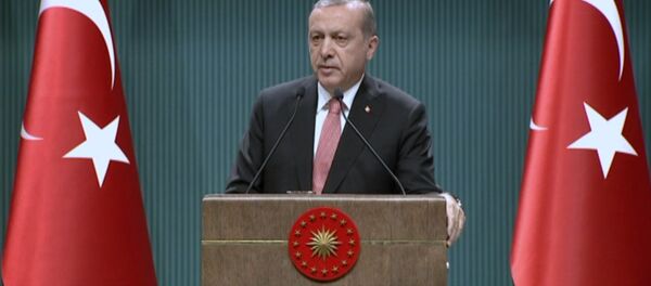 Эрдоган объяснил, для чего в стране вводится чрезвычайное положение Эрдоган объяснил, для чего в стране вводится чрезвычайное положение - Sputnik Узбекистан