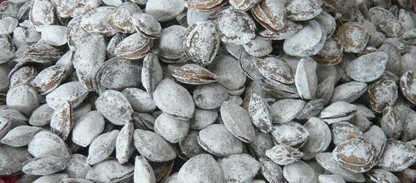 Шўрданак Шўрданак - Sputnik Ўзбекистон