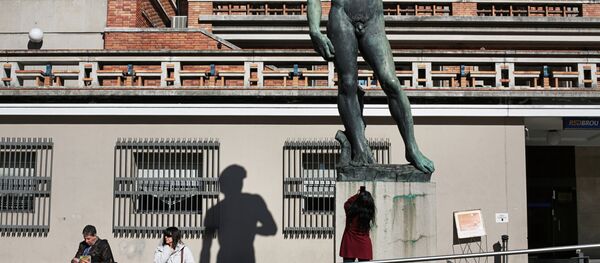 Микеланжело ижодига мансуб Давид ҳайкали нусхаси Микеланжело ижодига мансуб Давид ҳайкали нусхаси - Sputnik Ўзбекистон