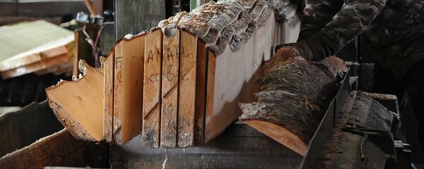 Предприятие по заготовке и переработке древесины Предприятие по заготовке и переработке древесины - Sputnik Узбекистан