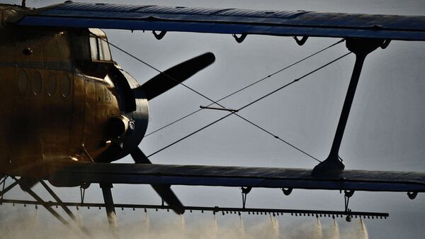 Samolet AN-2. Arxivnoe foto - Sputnik O‘zbekiston