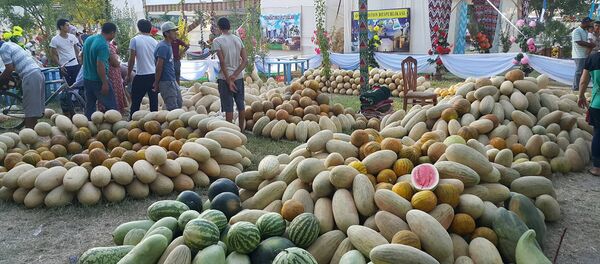 Фестиваль дын и меда в Бухаре - Sputnik Узбекистан