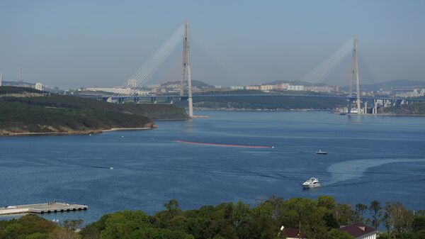 Вид на мост через пролив Босфор Восточный на остров Русский во Владивостоке - Sputnik Ўзбекистон