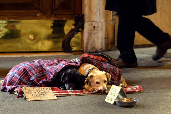 Две бездомные собаки в Риме - Sputnik Узбекистан