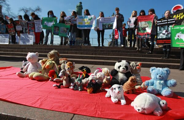 Митинг Россия без жестокости в Москве - Sputnik Узбекистан