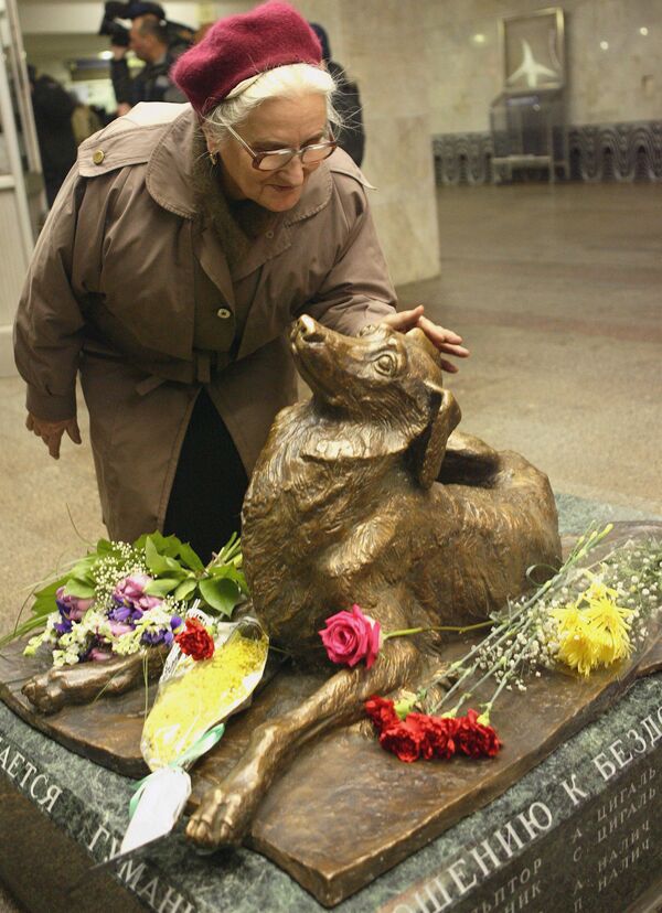 Памятник бездомной собаке - Сочувствие - Sputnik Узбекистан