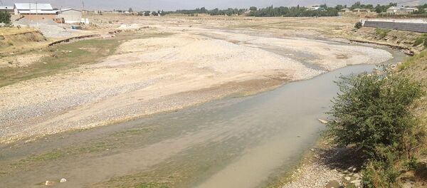 Кашкадарья в городе Китаб - Sputnik Узбекистан