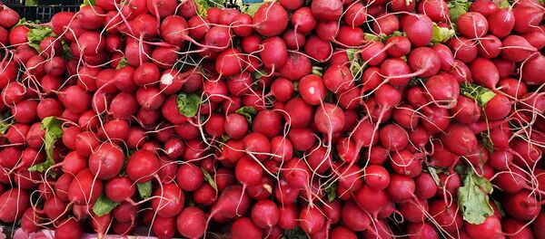 Продажа овощей на продовольственном рынке Продажа овощей на продовольственном рынке - Sputnik Узбекистан