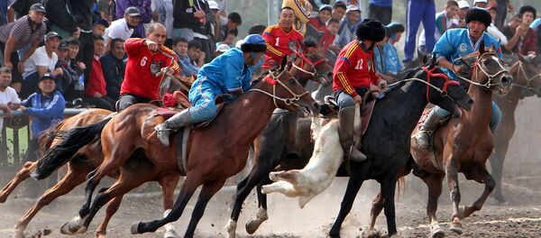 Участники группового турнира открытого чемпионата по кок-бору Участники группового турнира открытого чемпионата по кок-бору - Sputnik Узбекистан