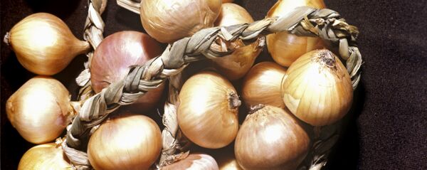 Лук репчатый. Лук репчатый. - Sputnik Ўзбекистон