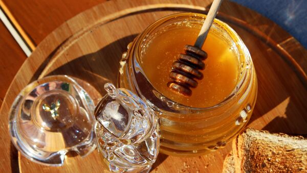 Свежий мед на столе готов к дегустации пчеловодами. - Sputnik Узбекистан