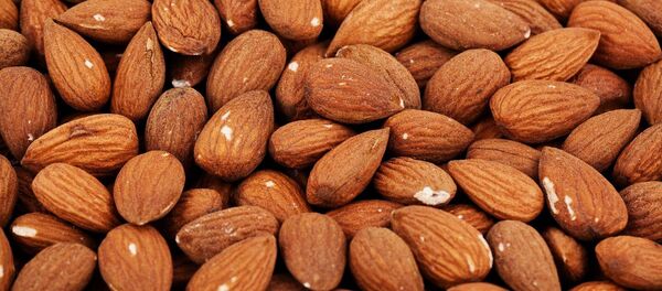 Очищенные миндальные орехи - Sputnik Узбекистан