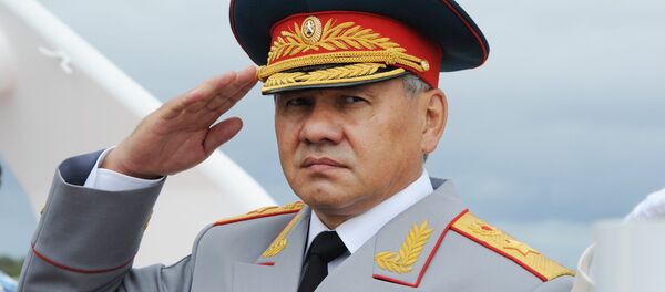 Министр обороны РФ, генерал армии Сергей Шойгу - Sputnik Узбекистан