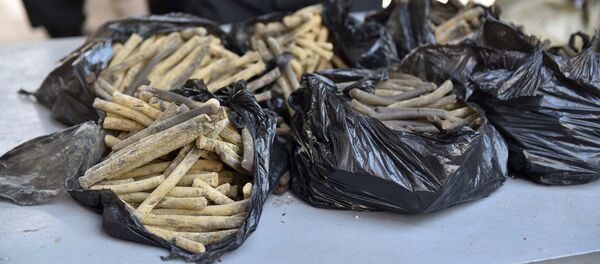 Уничтожение наркотических средств Уничтожение наркотических средств - Sputnik Ўзбекистон