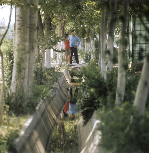Арык вдоль одной из улиц в городе Гулистан Арык вдоль одной из улиц в городе Гулистан - Sputnik Узбекистан