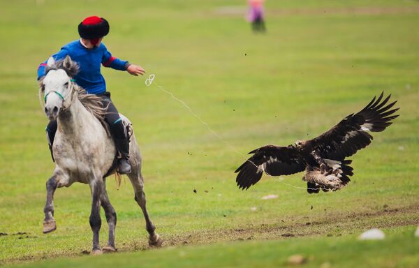 Всемирные игры кочевников-2016 в Киргизии - Sputnik Узбекистан