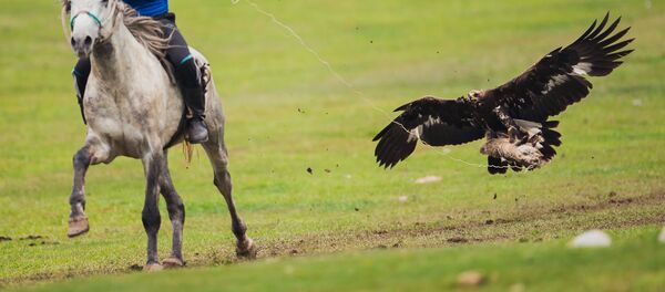 Всемирные игры кочевников-2016 в Киргизии - Sputnik Узбекистан