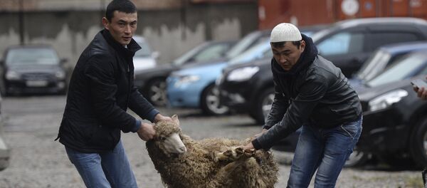 Празднование Курбан-Байрама - Sputnik Узбекистан