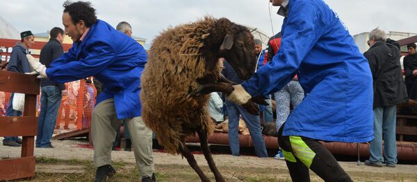 Празднование Курбан-Байрама в регионах России - Sputnik Узбекистан
