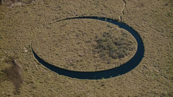 Спутник_Вращающийся остров в &quot;черной&quot; воде - удивительная находка в болотах Аргентины - Sputnik Узбекистан
