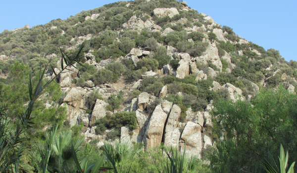 Узбекские художники участвуют в международном симпозиуме в Турции - Sputnik Узбекистан