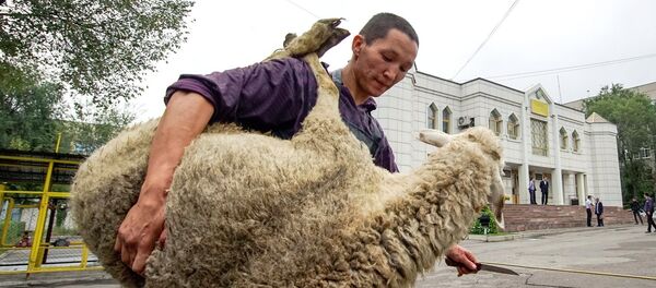 Празднование Курбан-хайита - Sputnik Узбекистан