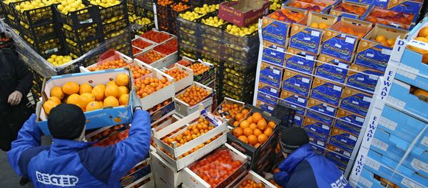 Грузчики работают на складе овощей и фруктов Грузчики работают на складе овощей и фруктов - Sputnik Ўзбекистон