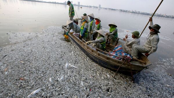 Рыбаки собирают мертвых рыб - Sputnik Узбекистан