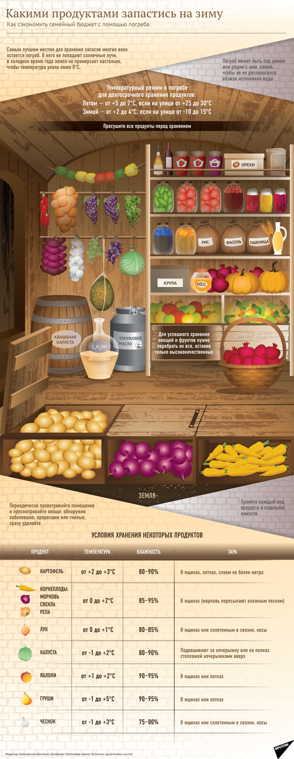 Как правильно запасаться продуктами на зиму - Sputnik Узбекистан