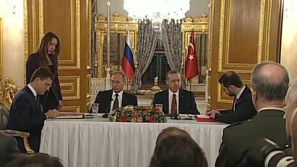 РФ и Турция подписали соглашение по Турецкому потоку - Sputnik Узбекистан