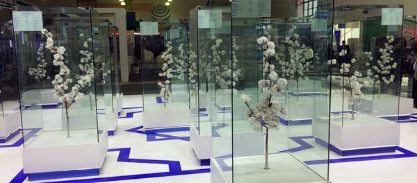 Выставка хлопка в Ташкенте - Sputnik Узбекистан