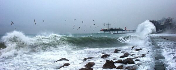 Ялта қирғоғи - Sputnik Ўзбекистон